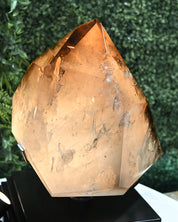 Museum Grade 78 lbs natural Smoky Quartz on Stand