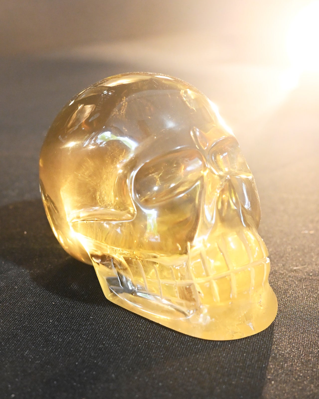 Natural Citrine Skull 1.7lbs