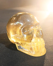 Natural Citrine Skull 1.7lbs
