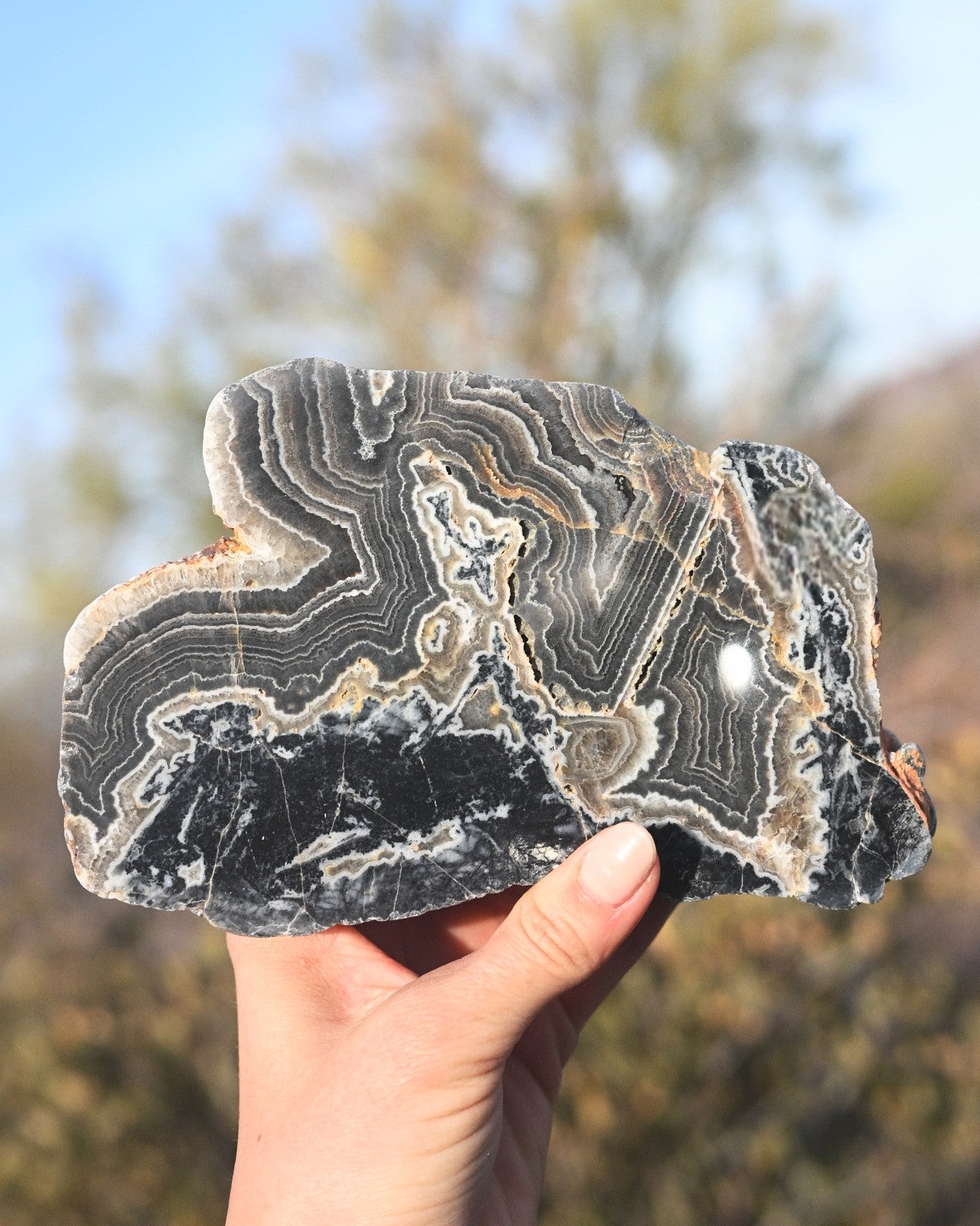 Pilbara Agate Geode LG