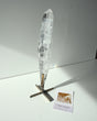 Clear Quartz on Stand 890g