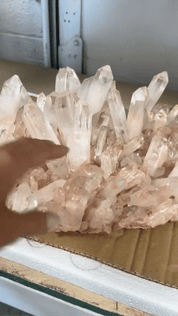 XXL 21 lb Statement Pink Quartz Cluster