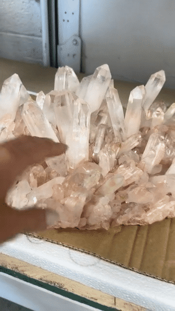 XXL 21 lb Statement Pink Quartz Cluster