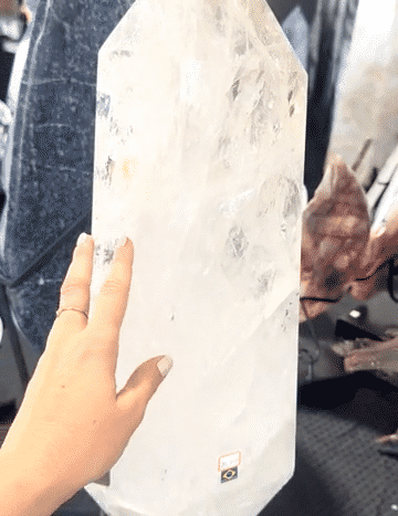 IMG_1073-low.gif