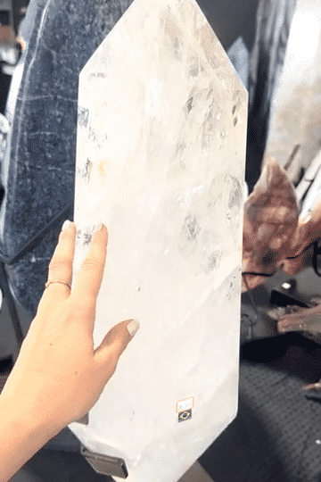 IMG_1073-low.gif