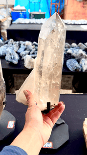 Natural Smoky Quartz Point on Stand