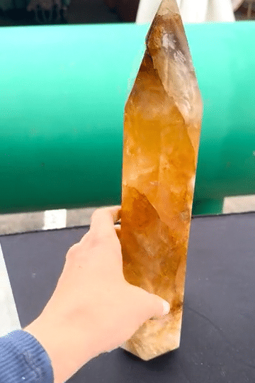 IMG_1143-low_909b3464-a478-4306-83b1-6b692f371837.gif