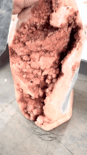 Rare Massive Pink Amethyst Geode Statement