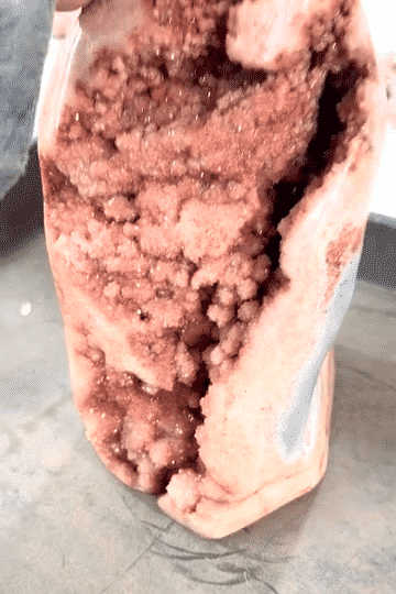 IMG_1242-low.gif
