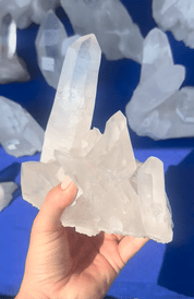 Clear Quartz Cluster 3.5lbs