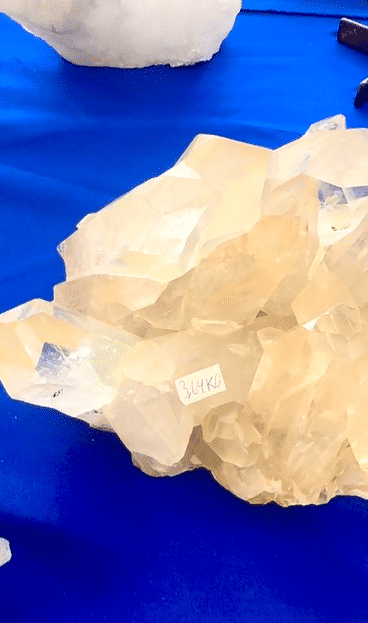 Golden Citrine Quartz Cluster 8lbs