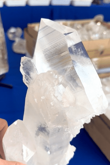 IMG_1378-low.gif