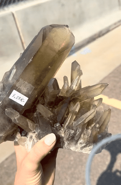 Rare Smoky Lemurian Cluster 7lb
