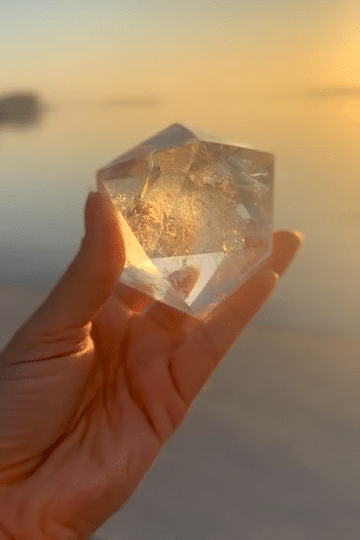 IMG_1695_2-low.gif