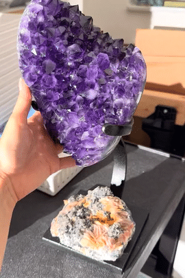 IMG_1982_2-low_a4ddb382-3930-4c3d-b974-417d54f1ec7e.gif