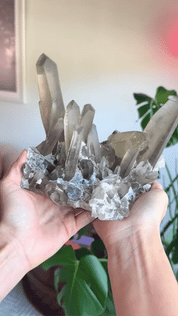 Rare Smoky Quartz Cluster 4.6lbs