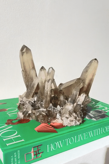 IMG_2109-low.gif