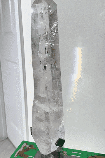 IMG_2111-low.gif