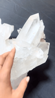 XXL Lemurian Statement Cluster 33lbs