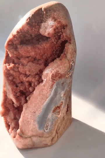 IMG_2592-low.gif