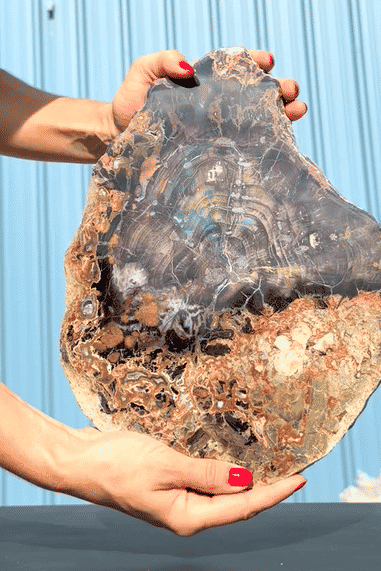 IMG_6306-low_1.gif