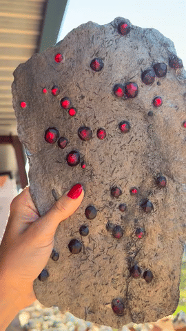 Rare Garnet in Graphite Statement Specimen — Red Embers Mine, Massachusetts