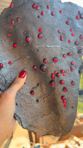 Garnet in Graphite Specimen 1.48 lbs — Red Embers Mine, Massachusetts