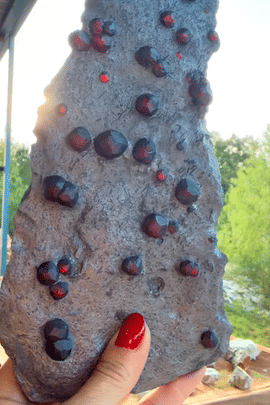 IMG_6321-low.gif