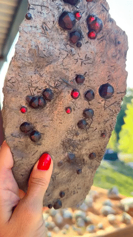 Garnet in Graphite Specimen — Red Embers Mine, Massachusetts