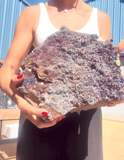 Chalcopyrite Statement Specimen 19.7 lbs — Casteel No. 35 Mine