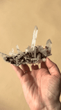 Lemurian Quartz w Siderite