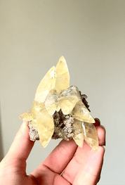 Rare Dragon Scale Calcite | Sweetwater Mine