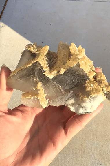 IMG_8721-low_1.gif