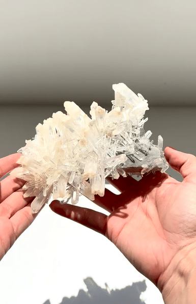 Mango Quartz Lemurian – Colombia (6 in)