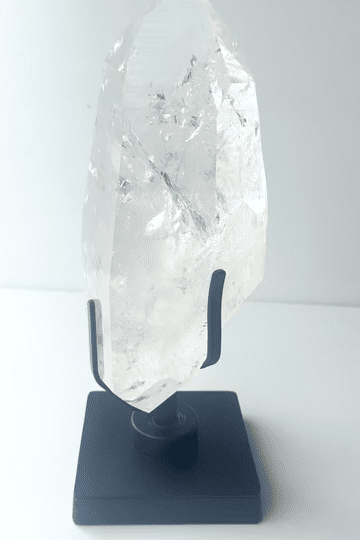 IMG_8824-low_1.gif