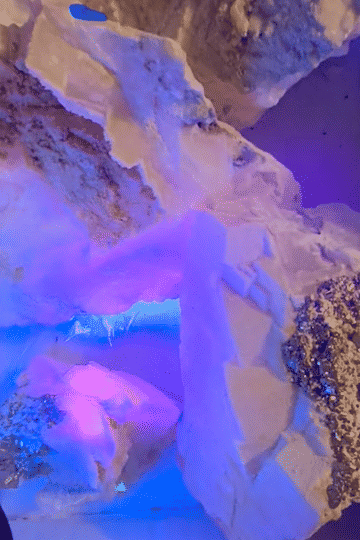 IMG_8856-low.gif