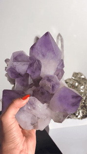 XL Bolivian Amethyst Cluster 8lb