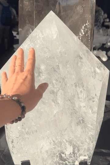 IMG_9818-low.gif
