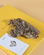 Smoky Quartz Cluster