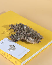 Smoky Quartz Cluster