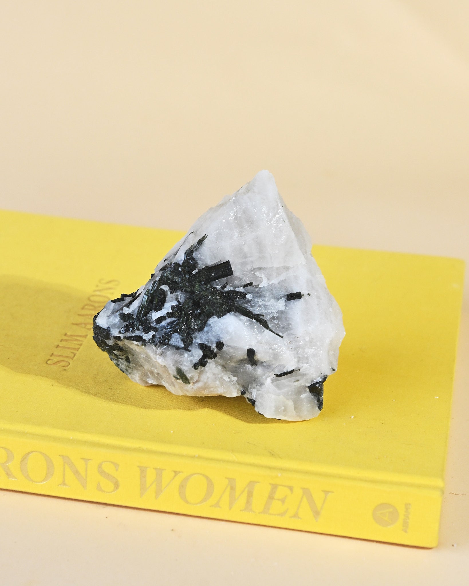Quartz with Black Tourmaline – Brazil - black tourmaline protection crystal rough natural for sale at Crystals.com