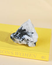 Quartz with Black Tourmaline – Brazil - black tourmaline protection crystal rough natural for sale at Crystals.com