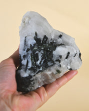 Quartz with Black Tourmaline – Brazil - black tourmaline protection crystal rough natural close up detail