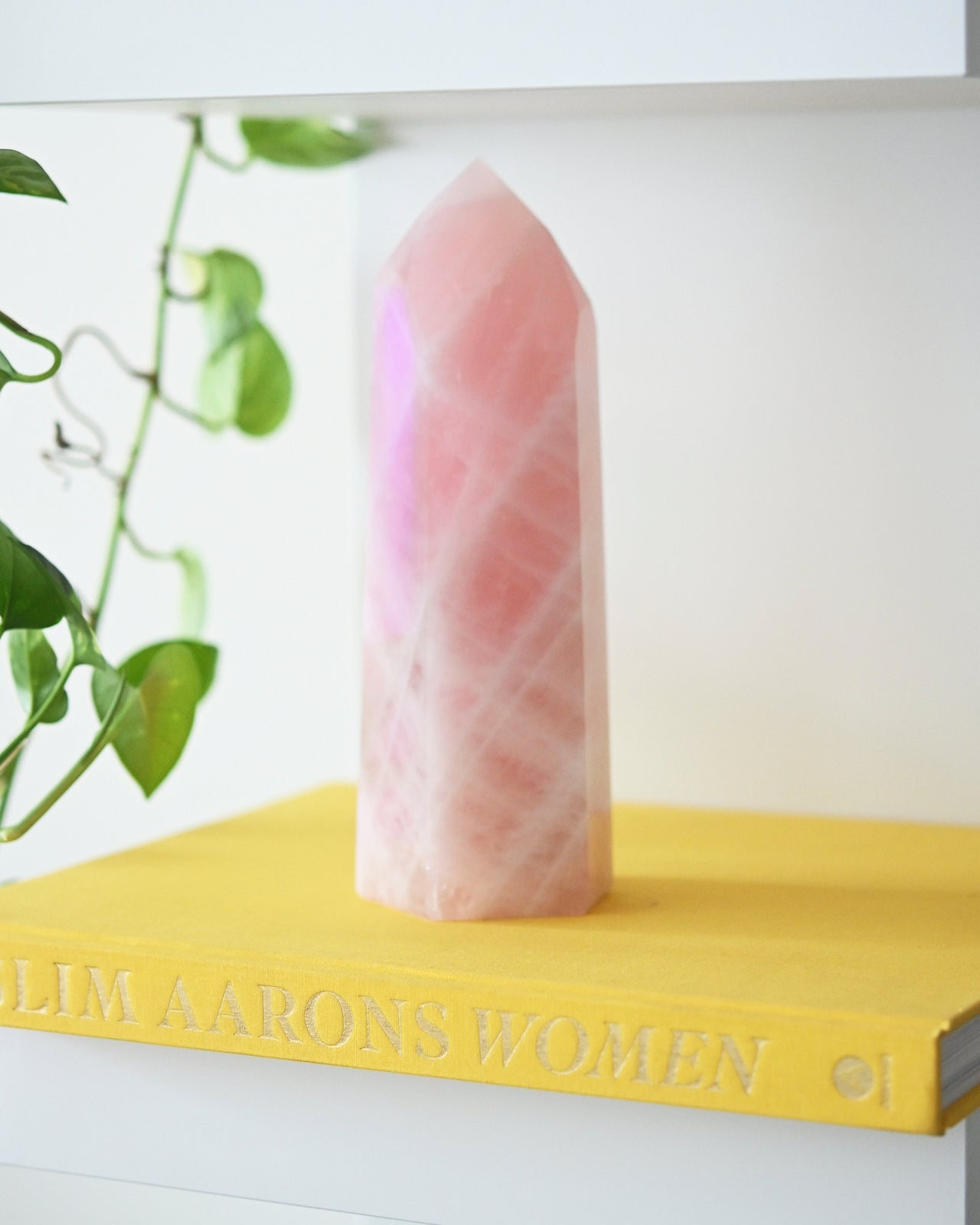 Love + Harmony Crystal Trio – Rose Quartz, Quartz Heart + Lepidolite w/ Tourmaline