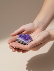 Brazilian Amethyst Cluster