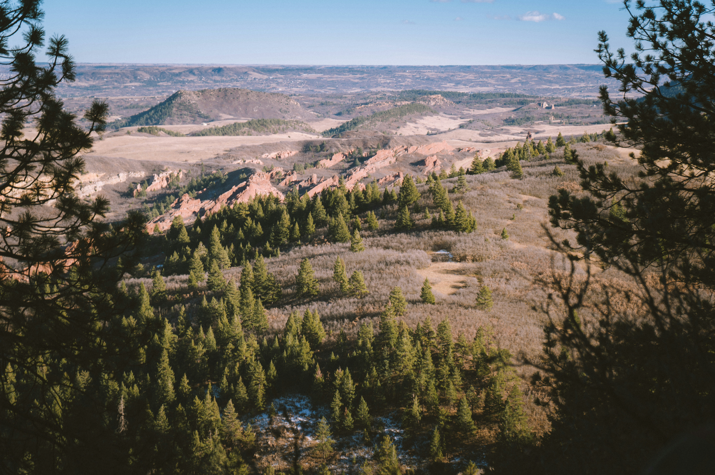 Scenic view of a forested area with hills and clear sky colorado