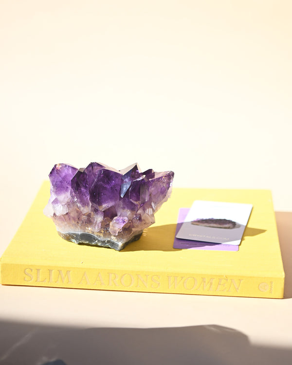 Amethyst Crystal Cluster 3lbs | Brazil