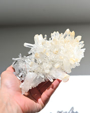 Mango Quartz Lemurian – Colombia (6 in)