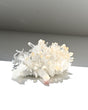 Mango Quartz Lemurian – Colombia (6 in)