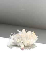 Mango Quartz Lemurian – Colombia (6 in)